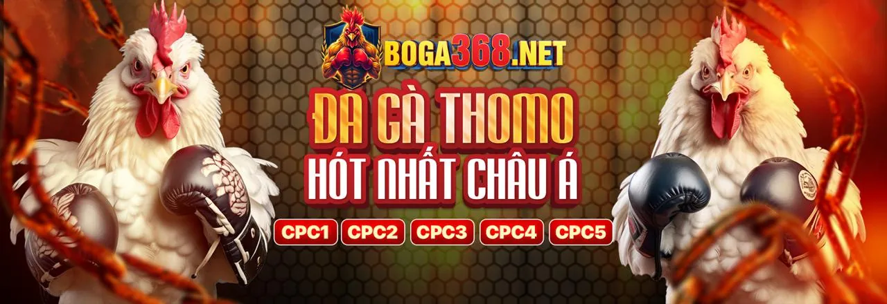 Đá gà trực tiếp W388 trang chủ chính thức